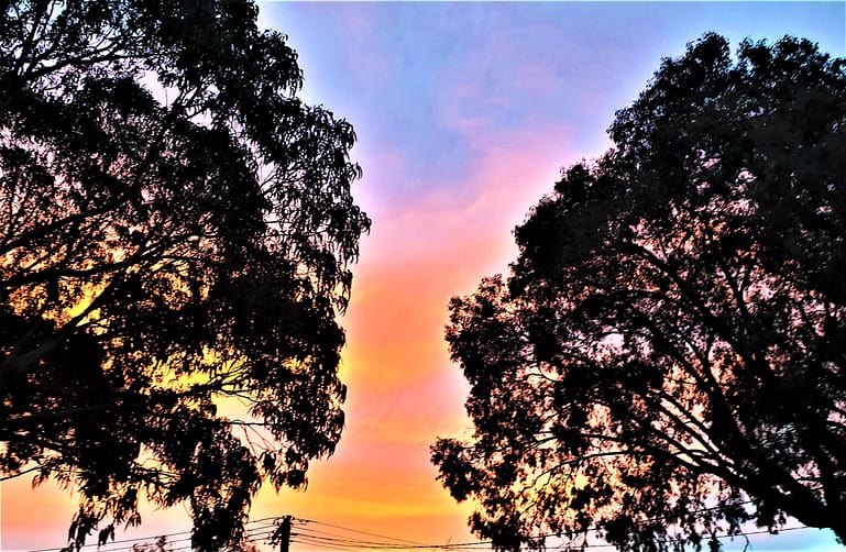 Majestic sunset - a moment of surrender to the Creator
