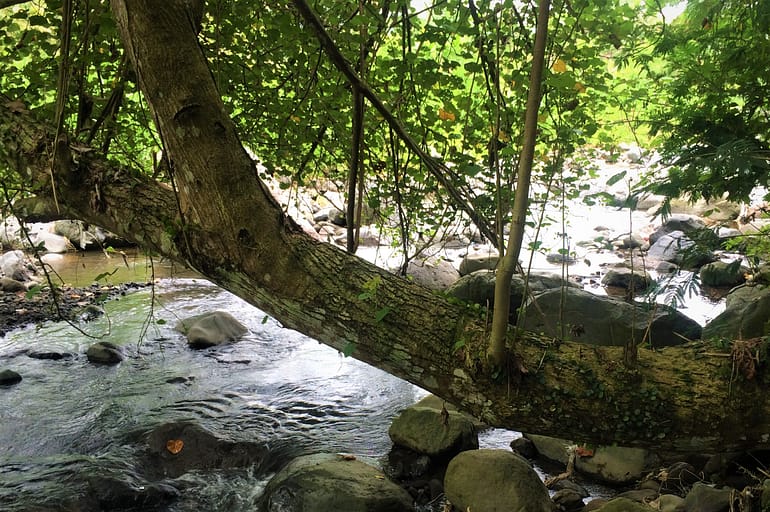 sacred river flowing 